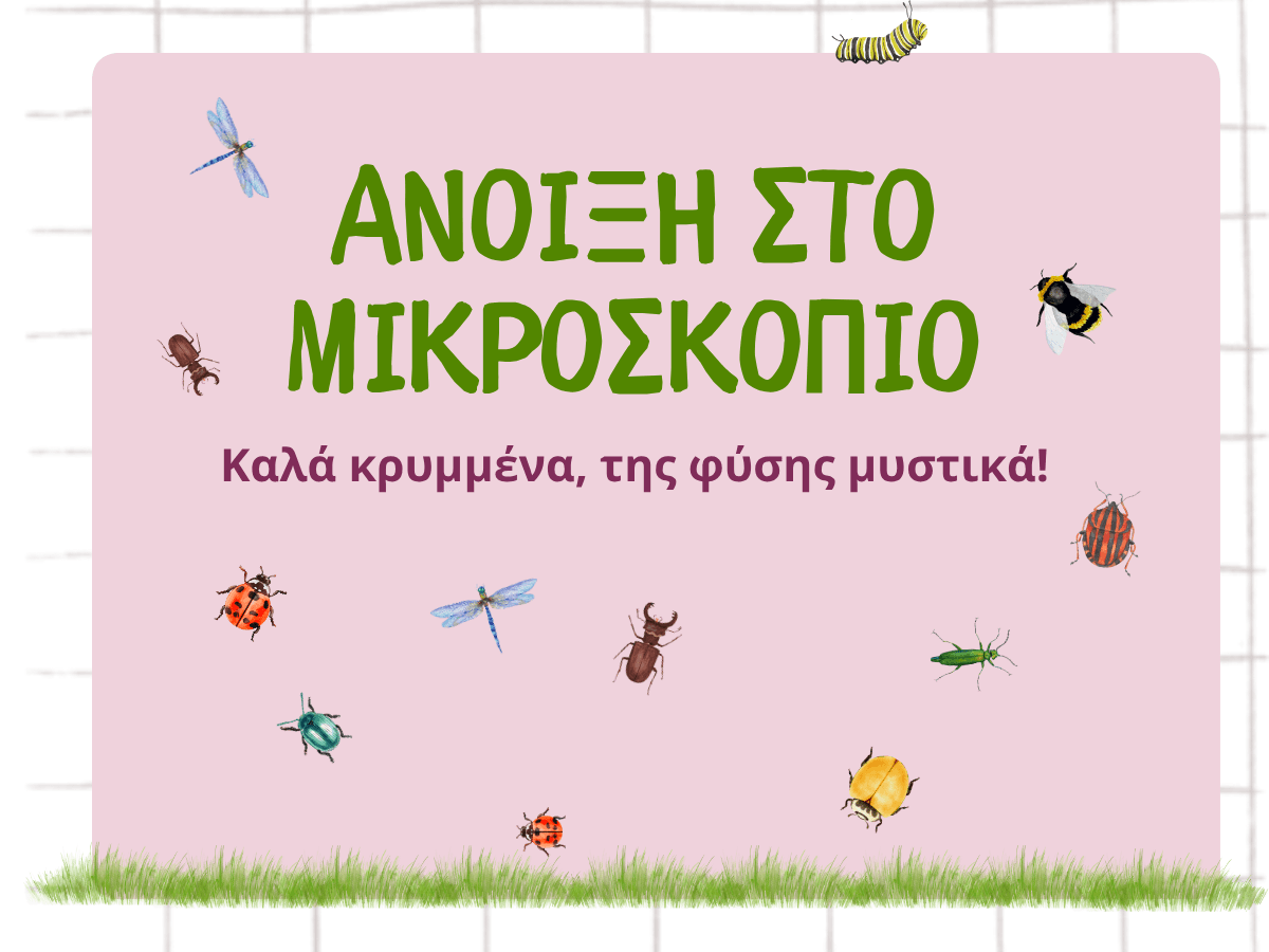 Άνοιξη στο Μικροσκόπιο