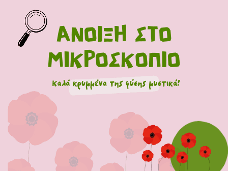 Άνοιξη στο Μικροσκόπιο